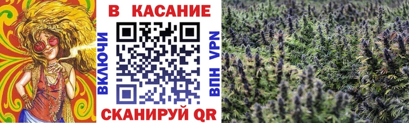 Цена Уссурийск Alpha-PVP  Бошки Шишки  Галлюциногенные грибы  Мефедрон  Гашиш  COCAIN 
