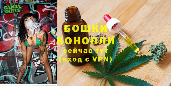 кокс Богородицк