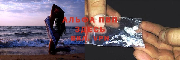 mdpv Бородино