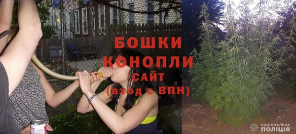 mdpv Бородино
