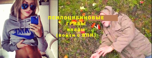 кокс Богородицк