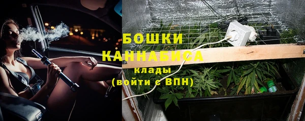 молекула духа Бронницы