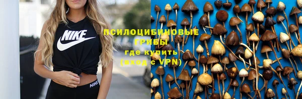 молекула духа Бронницы